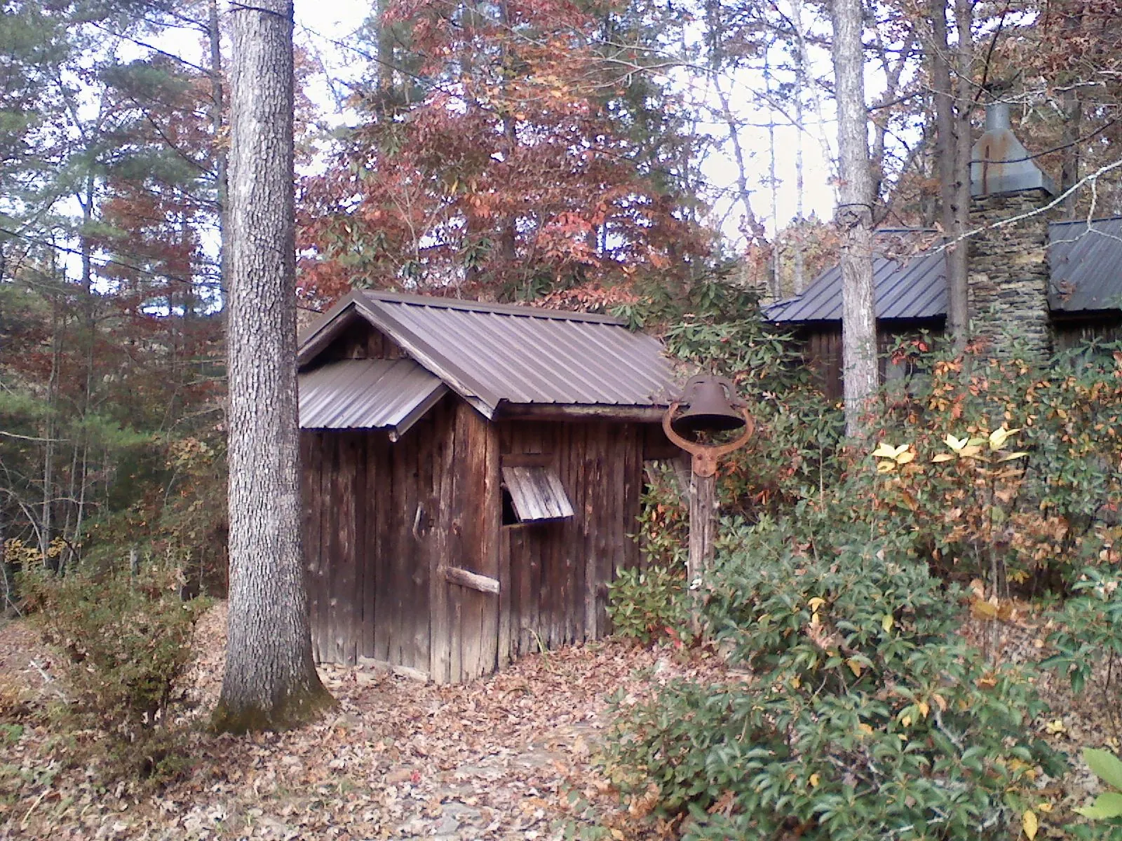 Small metal roof on a rough sawn shed in the woods in Corinne